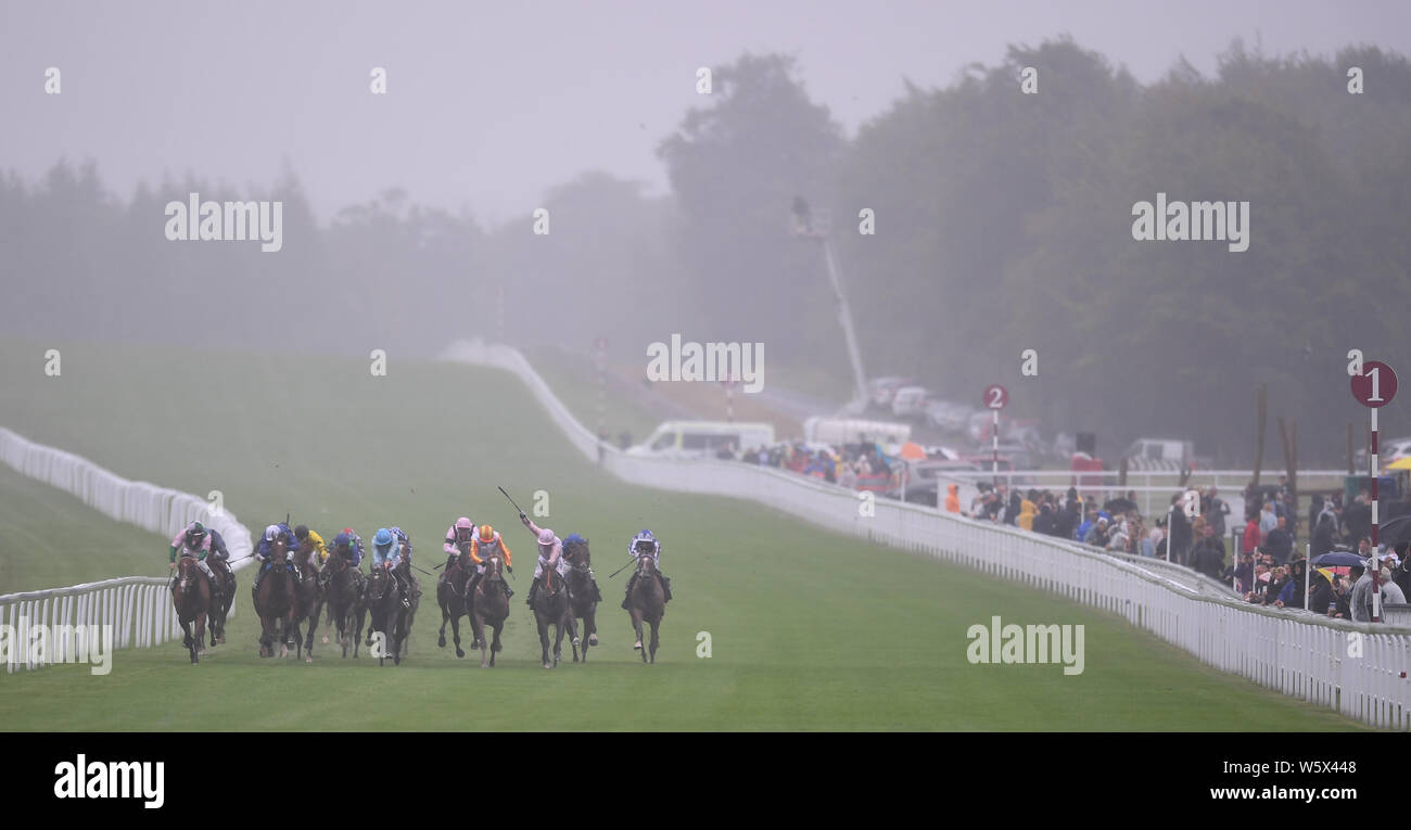 Goodwood Race Course, Chichester, Royaume-Uni. 30 juillet, 2019. Le Qatar Goodwood Festival ; le premier jour ; la race 1, le handicap d'Unibet Enjeux, chevaux en compétition pour la dernière ligne droite en position : Action Crédit Plus Sport/Alamy Live News Banque D'Images