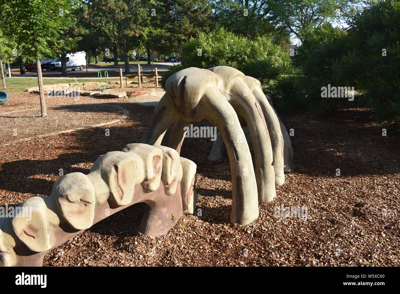Fossile de dinosaure Banque D'Images