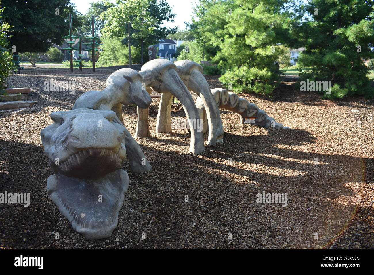 Fossile de dinosaure Banque D'Images