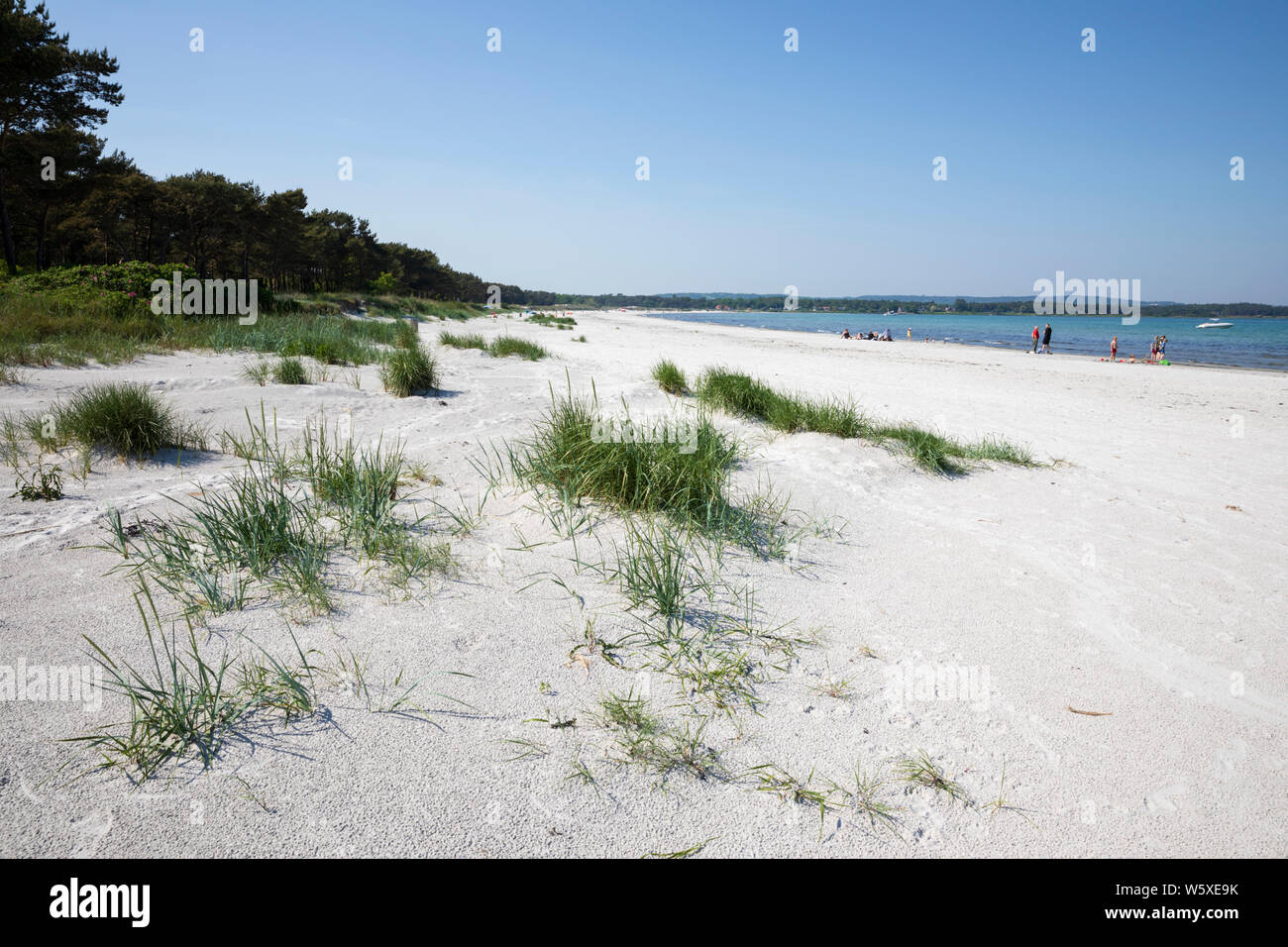 Le sable blanc et les dunes de Balka strand sur la côte sud de l'île, Balka, île de Bornholm, mer Baltique, Danemark, Europe Banque D'Images