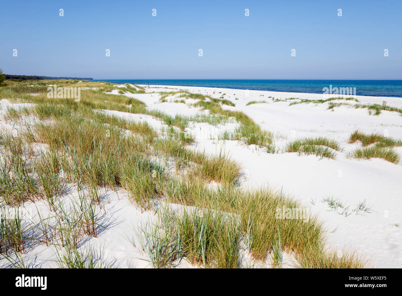 Plage de sable blanc de l'île de Dueodde, la côte sud de l'île de Bornholm, Dueodde, mer Baltique, Danemark, Europe Banque D'Images