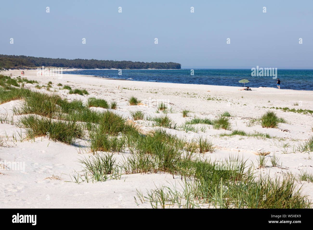 Plage de sable blanc de l'île de Dueodde, la côte sud de l'île de Bornholm, Dueodde, mer Baltique, Danemark, Europe Banque D'Images