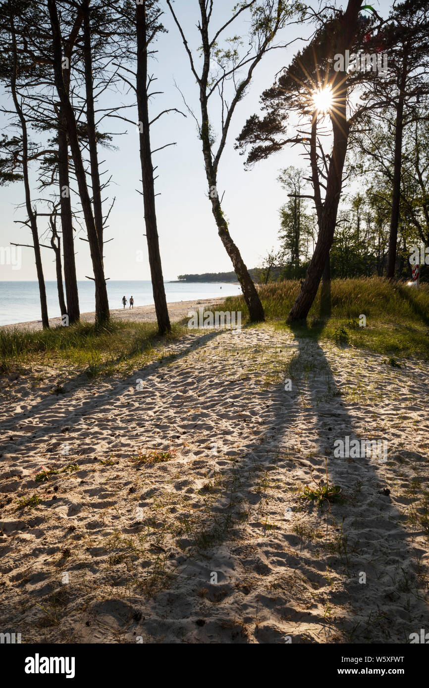 Plage de sable blanc de l'île de Dueodde, la côte sud de l'île de Bornholm, Dueodde, mer Baltique, Danemark, Europe Banque D'Images