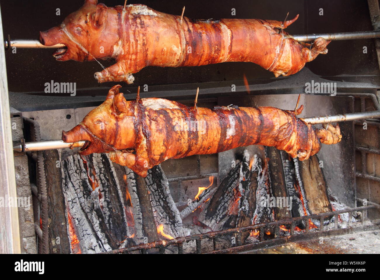 Deux cochons de lait sur le grill Banque D'Images