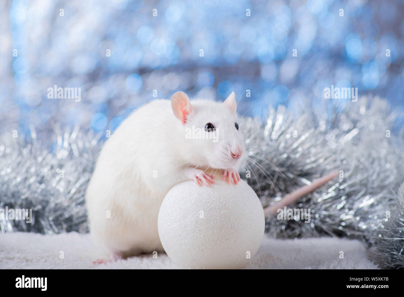 Bonne Année ! Symbole de la Nouvelle Année 2020 - blanc ou en métal (argent) rat. Rat mignon avec une décoration de Noël Banque D'Images