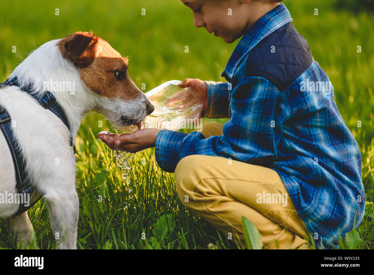 Petit garçon arroser son chien à marcher au jour d'été ensoleillé Banque D'Images