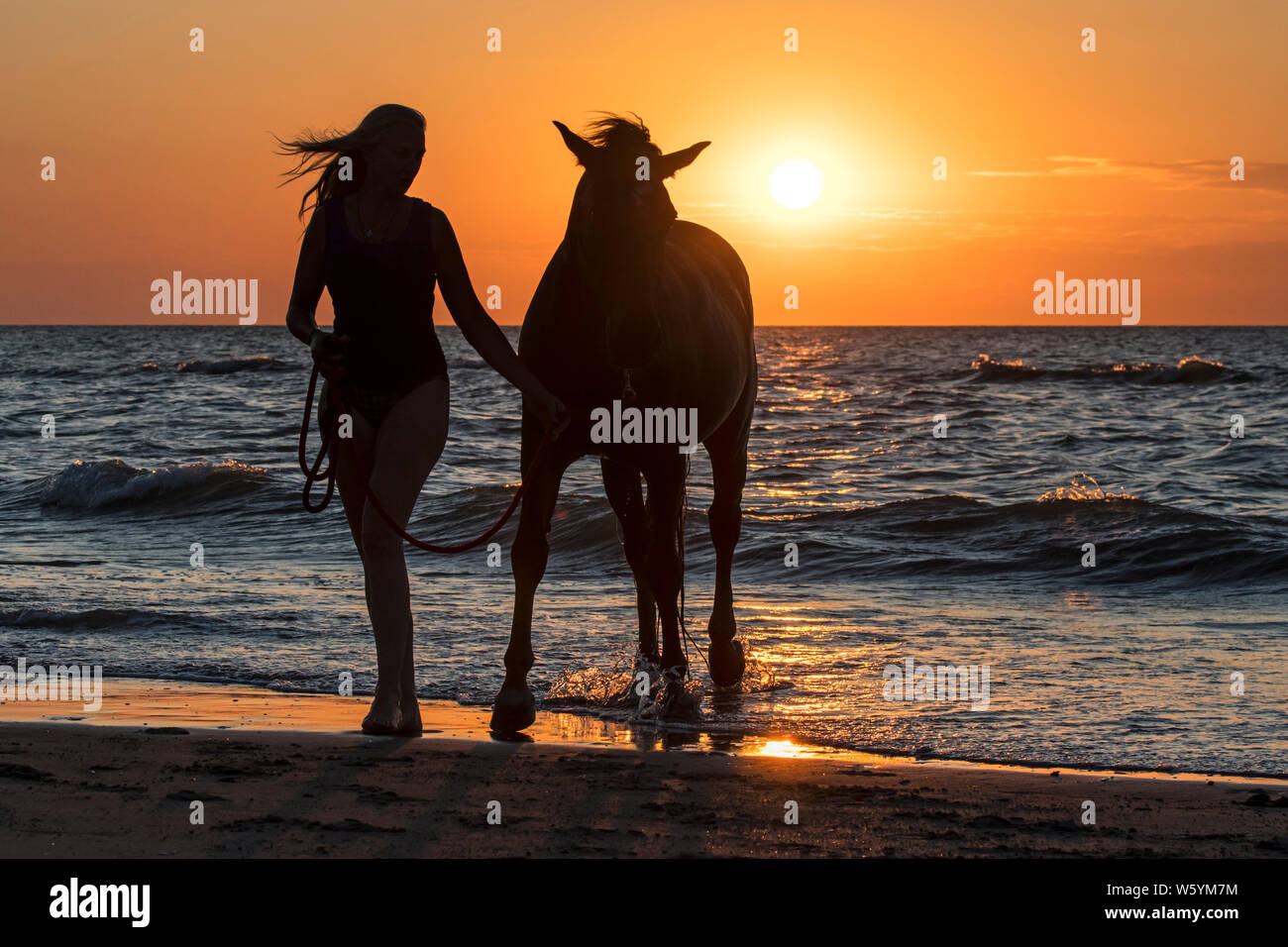 / Cavalière cheval femelle cavalier en laissant l'eau à cheval sur la plage au coucher du soleil le long de la côte de la mer du Nord Banque D'Images