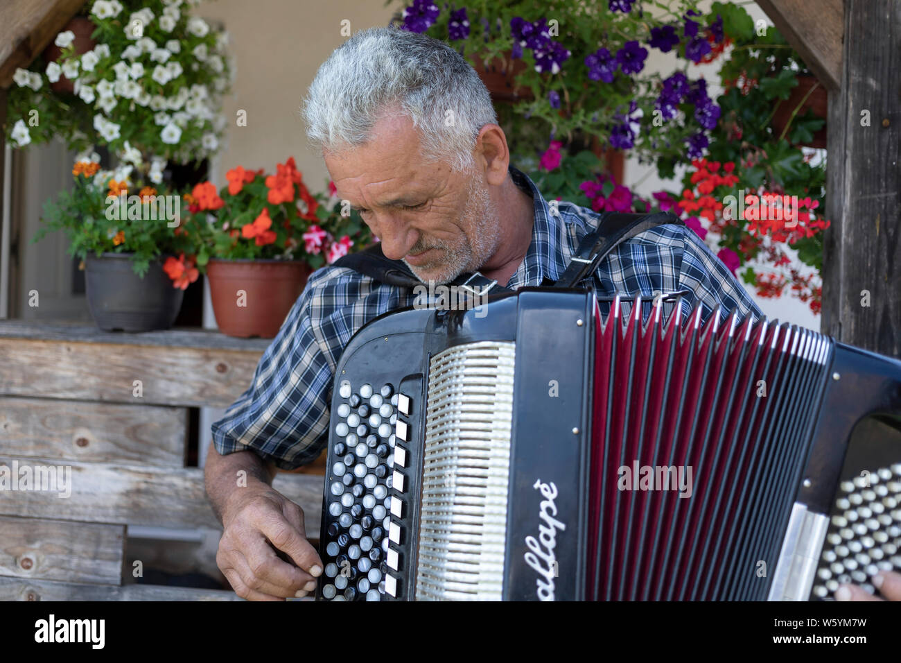 Serbie, 20 juillet 2019 : Portrait d'un homme à l'harmonica en face de sa maison dans le village de Solotuša Banque D'Images