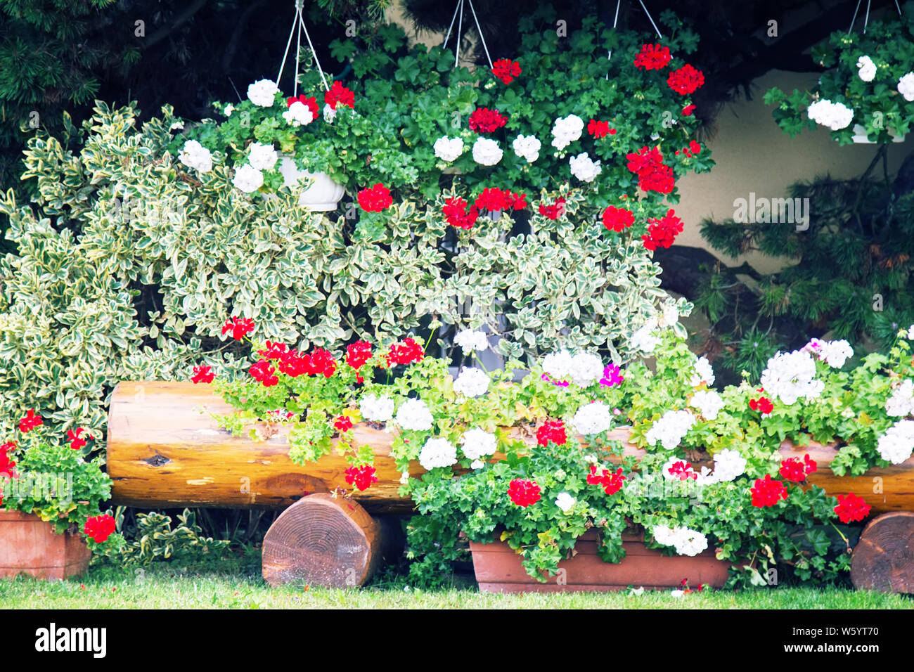 Fleurs de triage, sur les rebords de fenêtre et d'un balcon. La floriculture amateur des villes françaises Banque D'Images