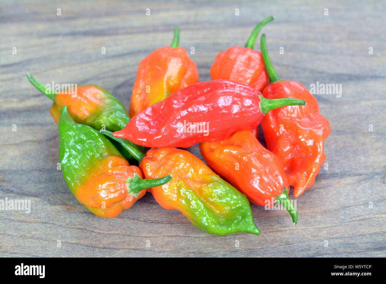 Bhut jolokia : hottest poivre de chili sur la table rustique Banque D'Images