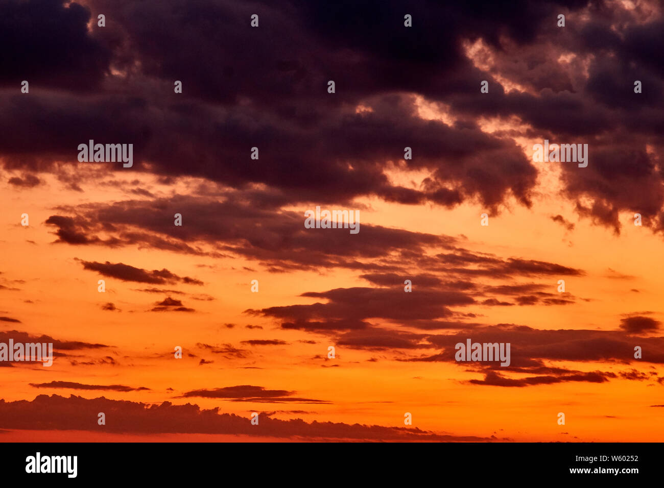 Le ciel au coucher du soleil. une émeute de couleurs Banque D'Images