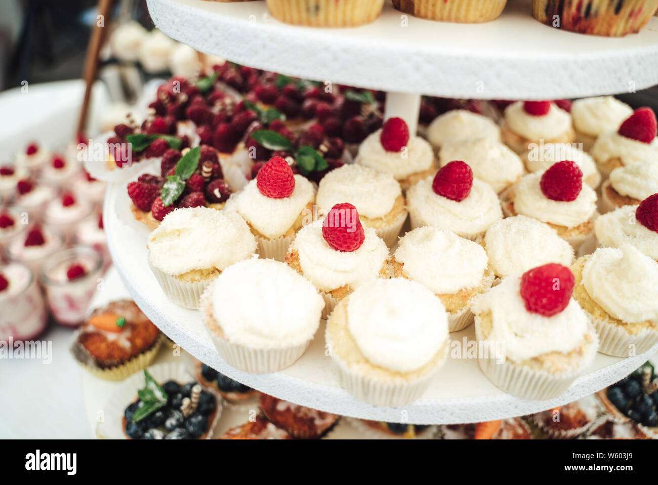 Affichage des petits gâteaux recouverts de crème fouettée Banque D'Images