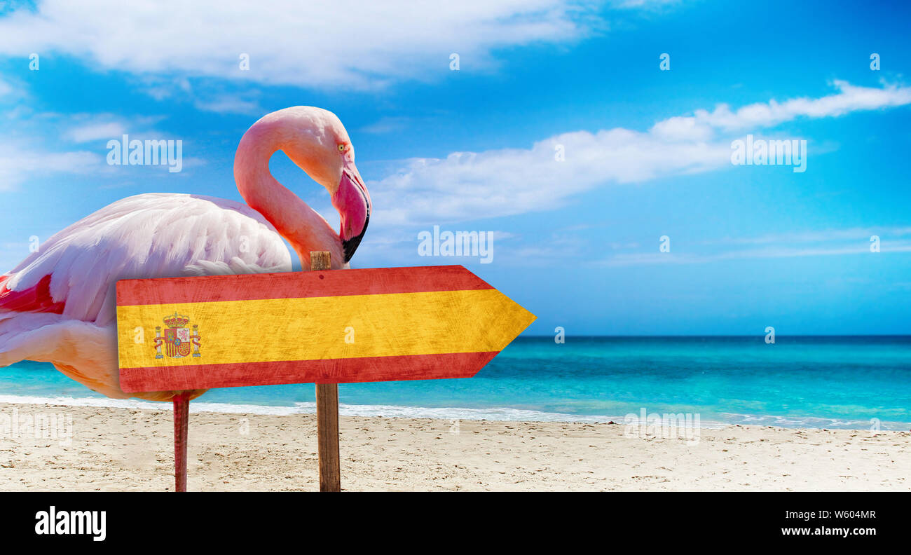 Espagne drapeau sur la table en bois signe sur fond de plage avec pink Flamingo. Il y a plage et l'eau claire de la mer et ciel bleu en arrière-plan. C'est tr Banque D'Images