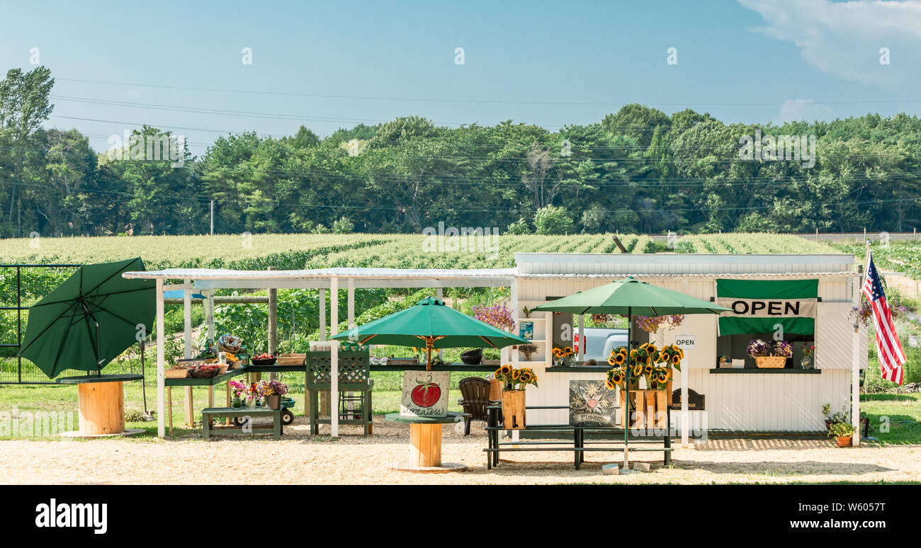 Ferme Stand dans East Hampton, NY Banque D'Images
