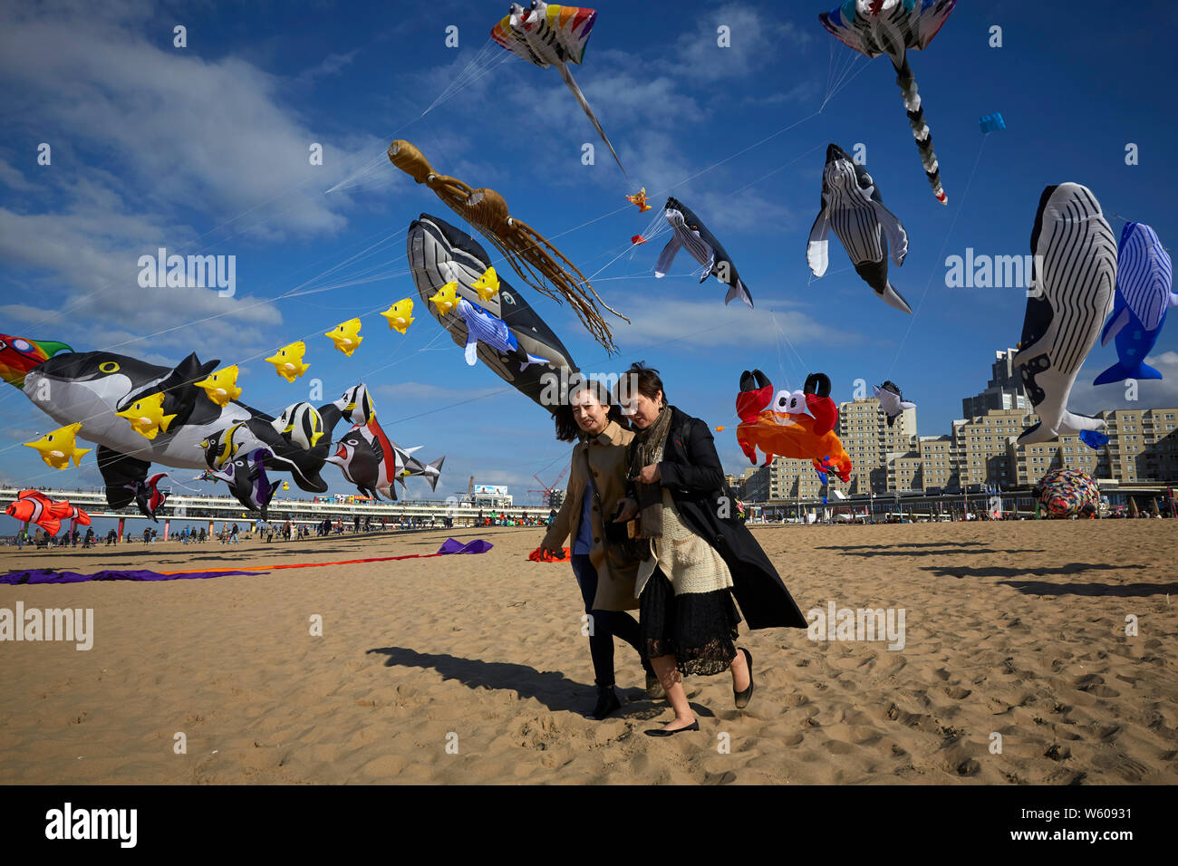 Deux touristes assister à la gigantesque spectacle de cerf-volant sur la plage de Scheveningen. Banque D'Images
