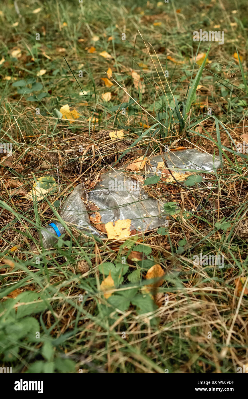 Bouteille en plastique sur l'herbe verte de la forêt. La pollution de l'environnement concept. Banque D'Images