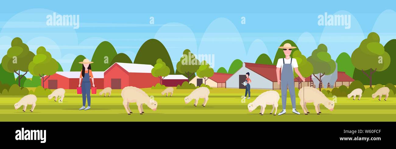 Berger avec troupeau de troupeaux stick les éleveurs de moutons blancs des ovins de l'équipe agriculture eco concept ferme campagne laine terres agricoles paysage télévision pleine Illustration de Vecteur