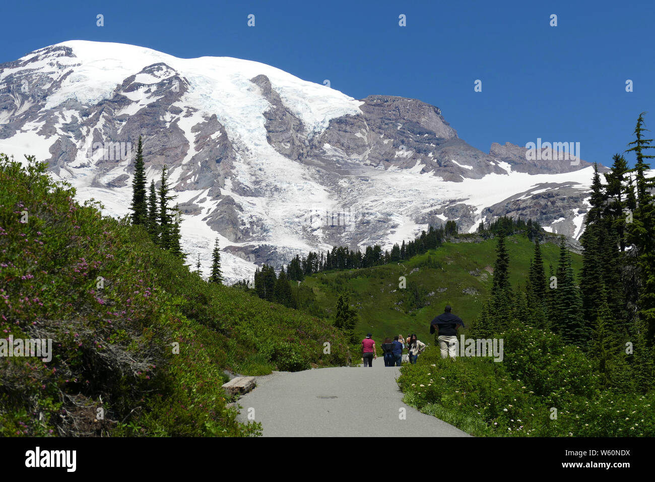 Randonneurs sur le sentier au-dessus du paradis avec la montagne en arrière-plan, le Mont Rainier National Park, Washington Banque D'Images