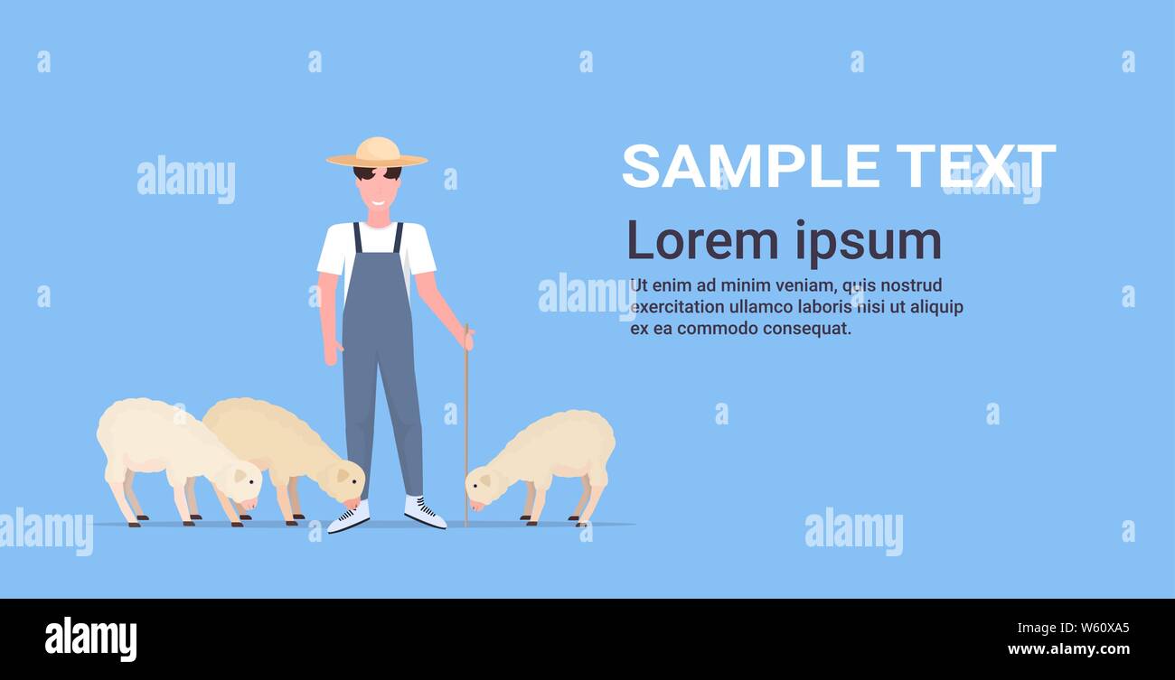Berger avec bâton de moutons blancs élevage troupeau libre de l'élevage ovin l'élevage fermier eco concept télévision horizontale pleine longueur de vecteur de copie Illustration de Vecteur