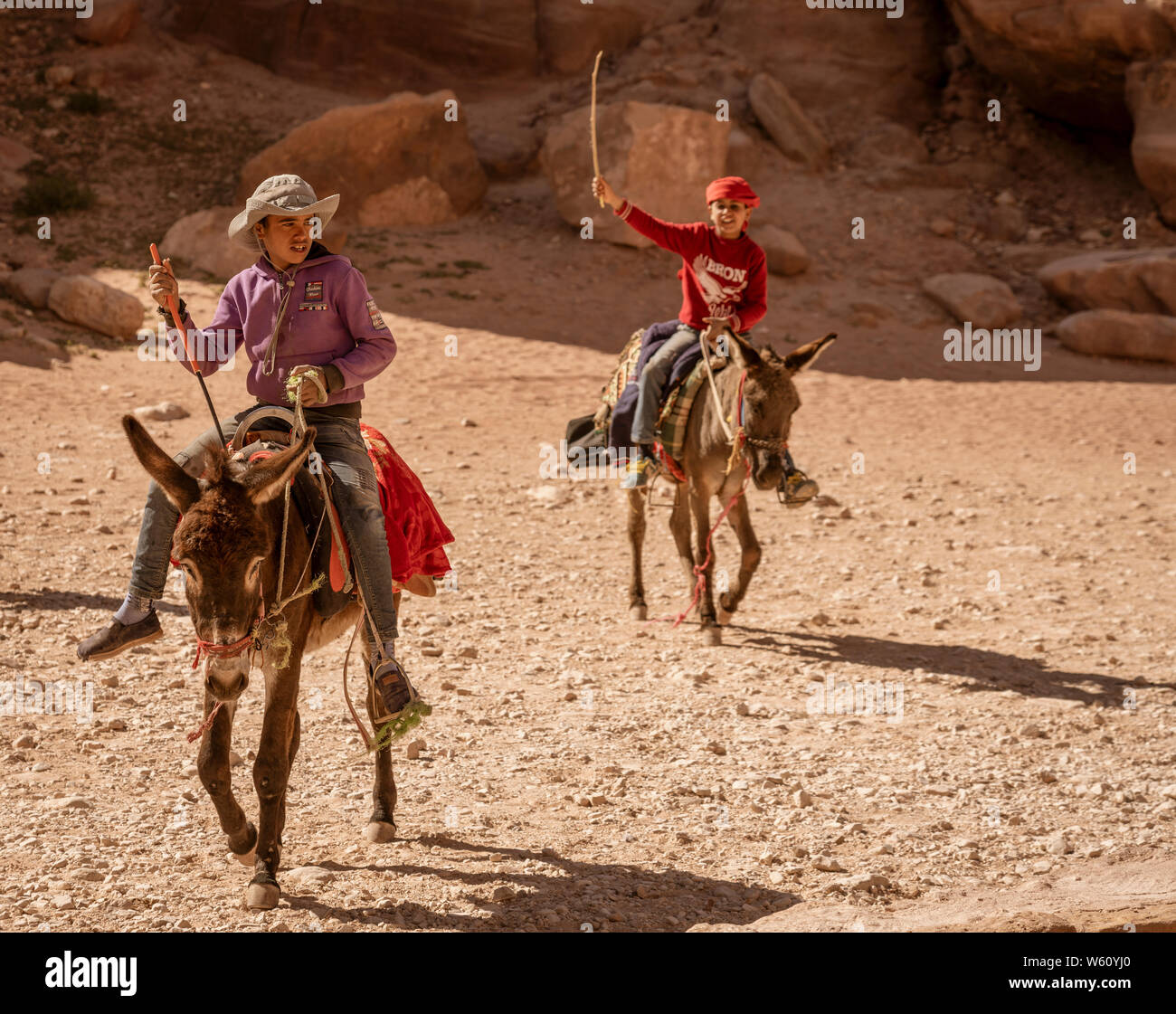 Petra, JORDANIE - 2019-04-21 - Les ânes sont communs le transport d'animaux à Petra en Jordanie. Banque D'Images