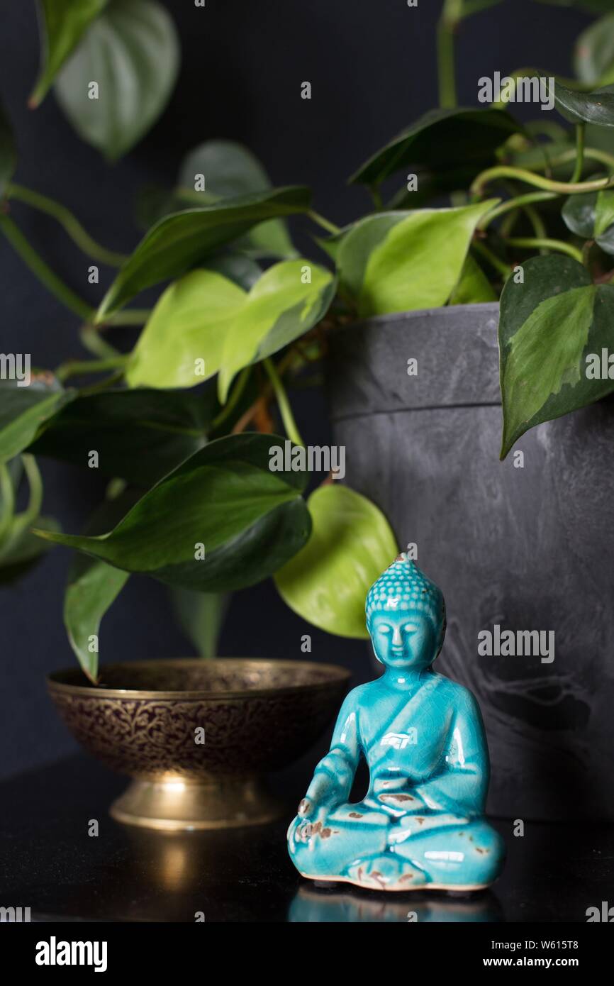 Une figurine de Bouddha à côté d'un philodendron 'Brasil' plante. Banque D'Images