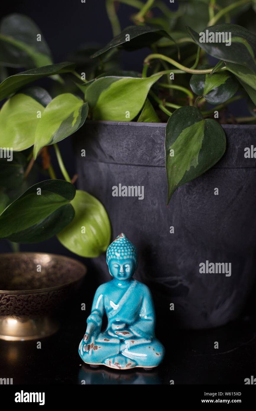 Une figurine de Bouddha à côté d'un philodendron 'Brasil' plante. Banque D'Images