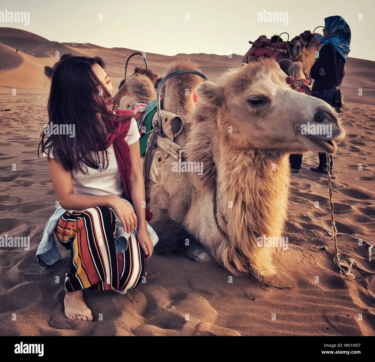 Un touriste ressemble à un chameau dans le désert de Gobi dans le Croissant de lune (Yueyaquan) et le chant des montagnes de sable dans endroit pittoresque, au nord de la ville de Dunhuang Banque D'Images