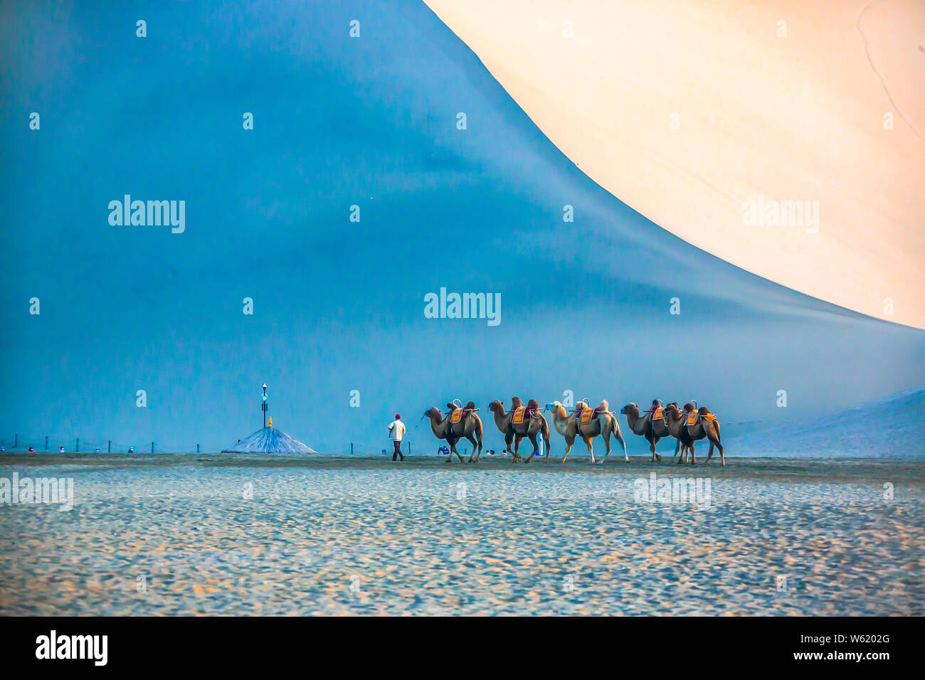 Des chameaux à pied dans le désert de Gobi dans le Croissant de lune (Yueyaquan) et le chant des montagnes de sable dans endroit pittoresque ville de Dunhuang, dans le nord-ouest de la Chine, Ga Banque D'Images
