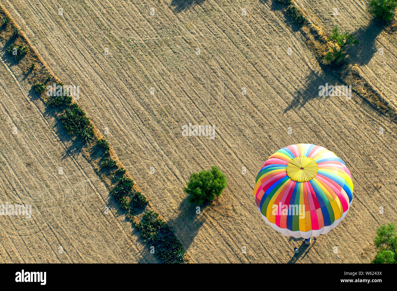 Colorful hot air balloon landing in rural farm field Banque D'Images