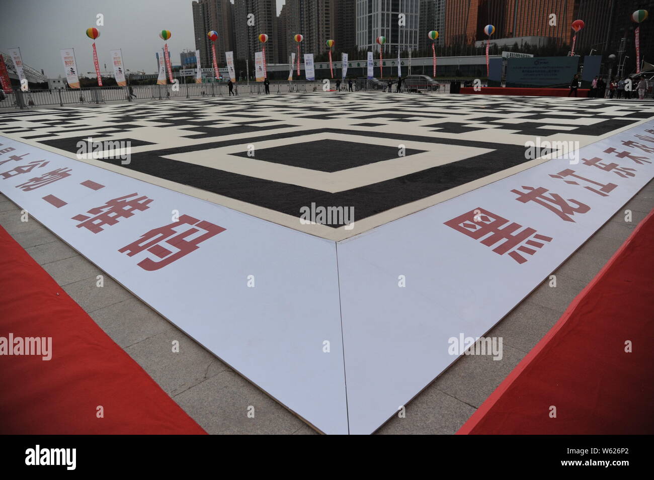 Le plus grand code QR, 30 mètres de chaque côté, composé de cinq tonnes de riz noir et cinq tonnes de riz blanc s'affiche dans la ville de Harbin, northeas Banque D'Images