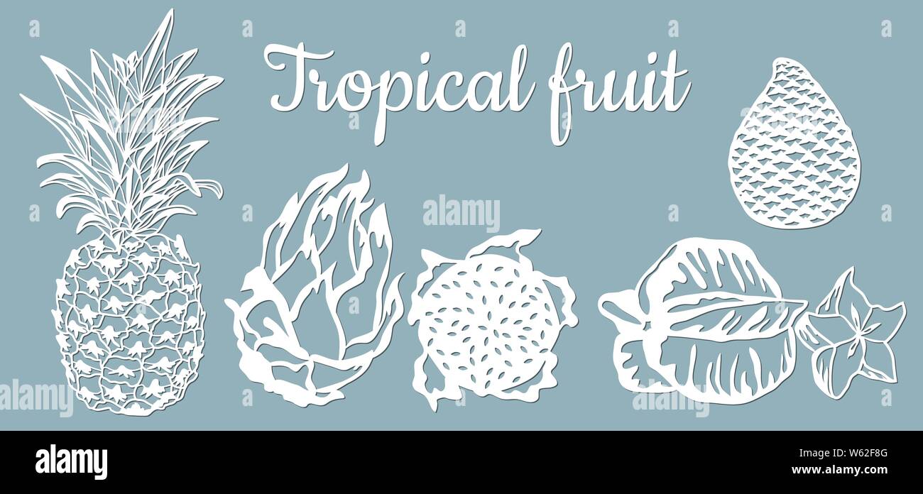 L'ananas, papier, pitaya Carambole, Salak. Fruits tropicaux isolés. Symbole de la nourriture, doux, exotique, été, nature saine vitamine traceur signe et s Illustration de Vecteur