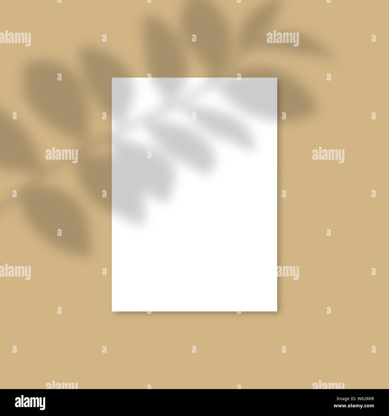 Maquette en papier A4 vertical avec des ombres réalistes superpositions feuille. Ombre d'un vecteur de plantes tropicales. Flyer, affiche, modèle en blanc dans un style moderne Illustration de Vecteur