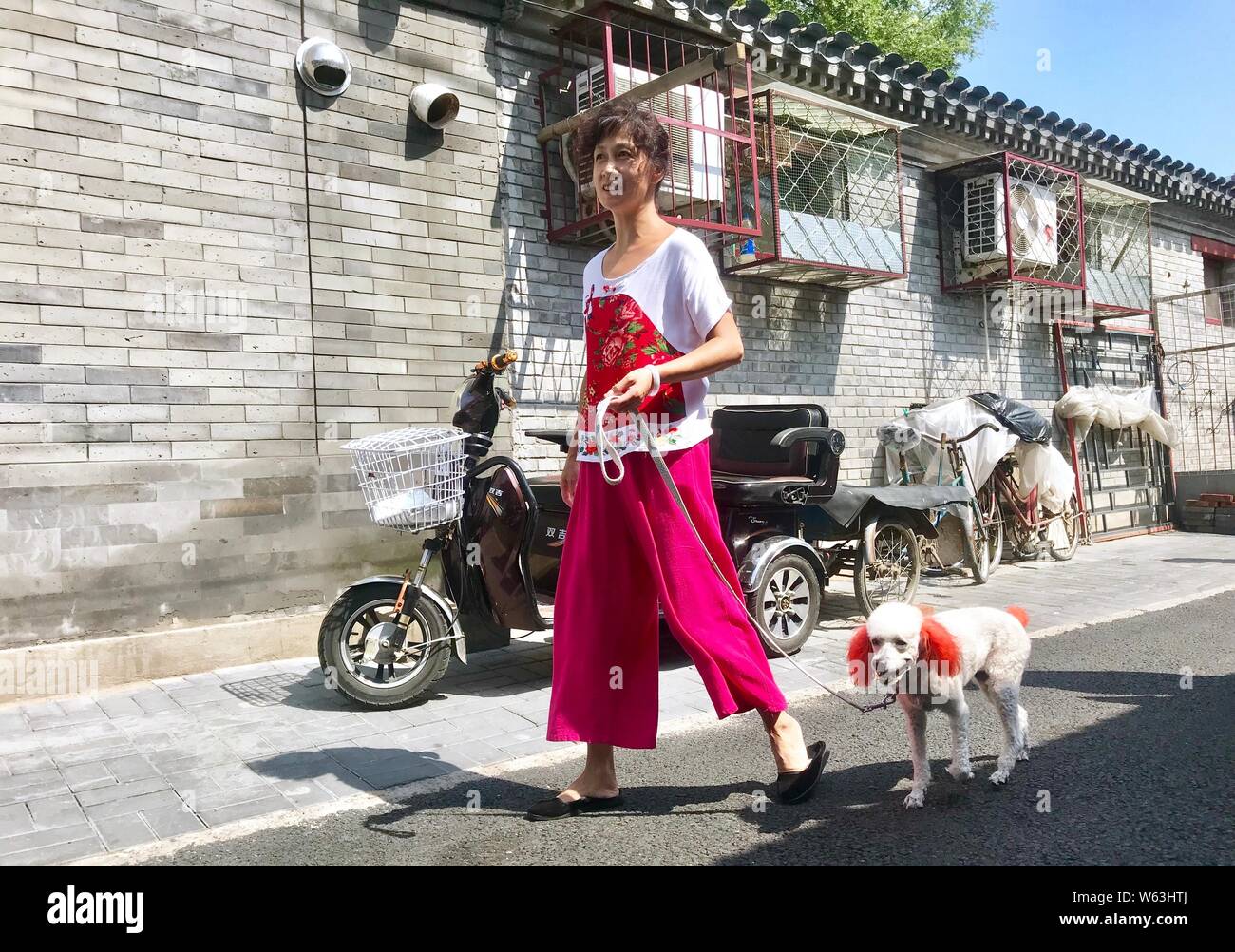Beijing, Chine. 30 juillet, 2019. Photo prise avec un téléphone portable montre une femme entre son chien à Zhonggu Hutong de Beijing, capitale de la Chine, le 30 juillet 2019. Credit : Zhao Xu/Xinhua/Alamy Live News Banque D'Images
