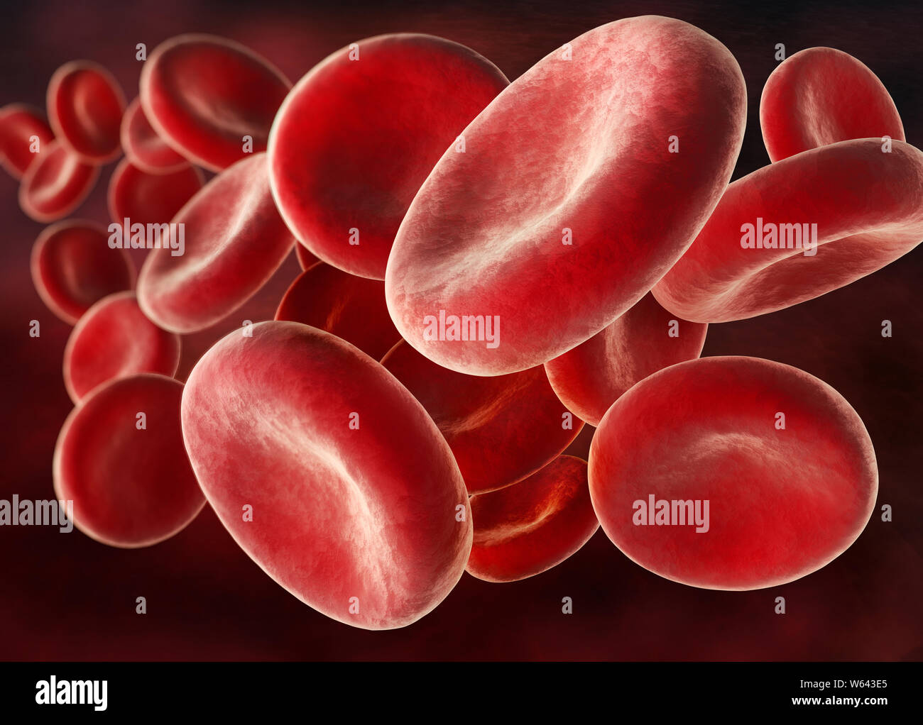 -Les globules rouges - érythrocytaire 3D illustration Banque D'Images
