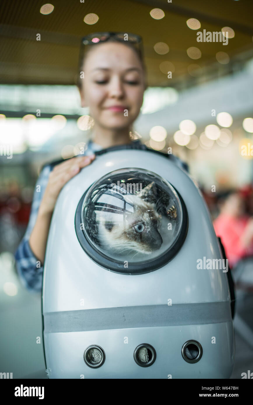 Young woman holding pet travel sac à dos de l'opérateur avec l'intérieur à l'aéroport de chat siamois Banque D'Images