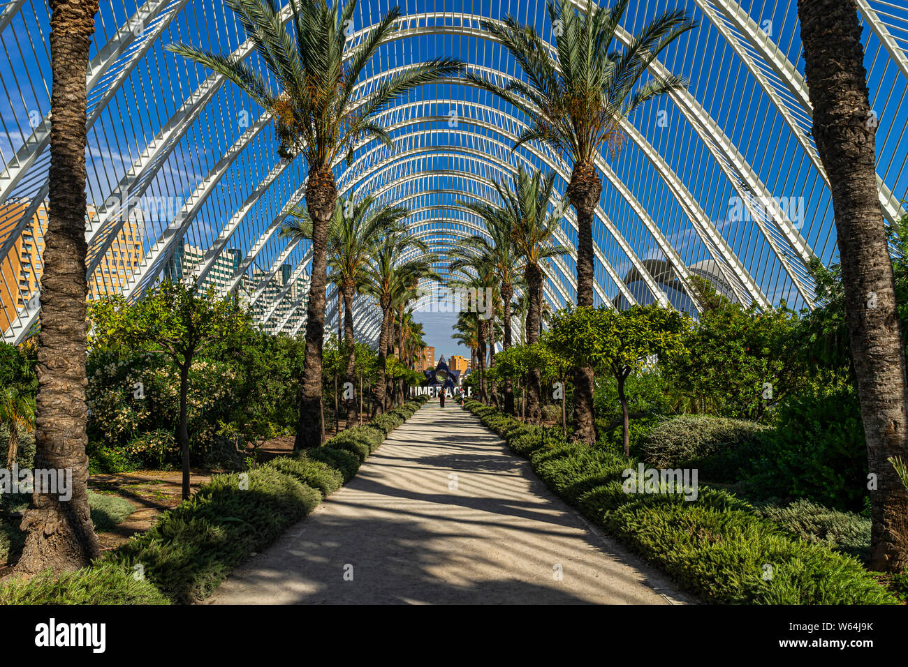 Juillet 27, 2019 - VALENCIA, Espagne. L'intérieur du l'umbracle (2001) galerie de sculptures en plein air et le jardin. Partie de la Cité des Arts et des Sciences de Valence Banque D'Images