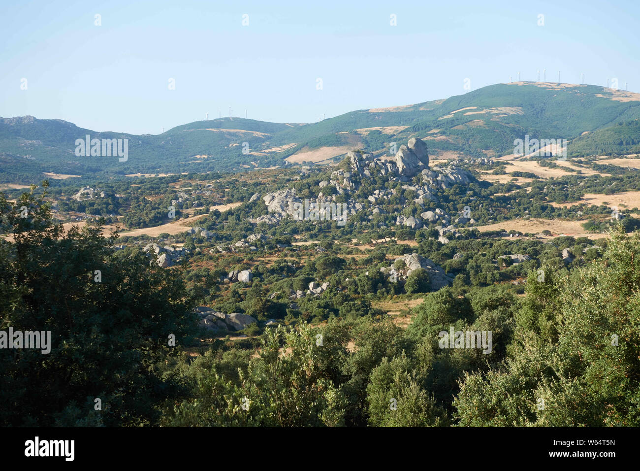 Valle della Luna, vallée de la lune, paysage de granit à Aggius, Olbia-Tempio, Gallura, Sardaigne, Italie, Méditerranée, Europe Banque D'Images