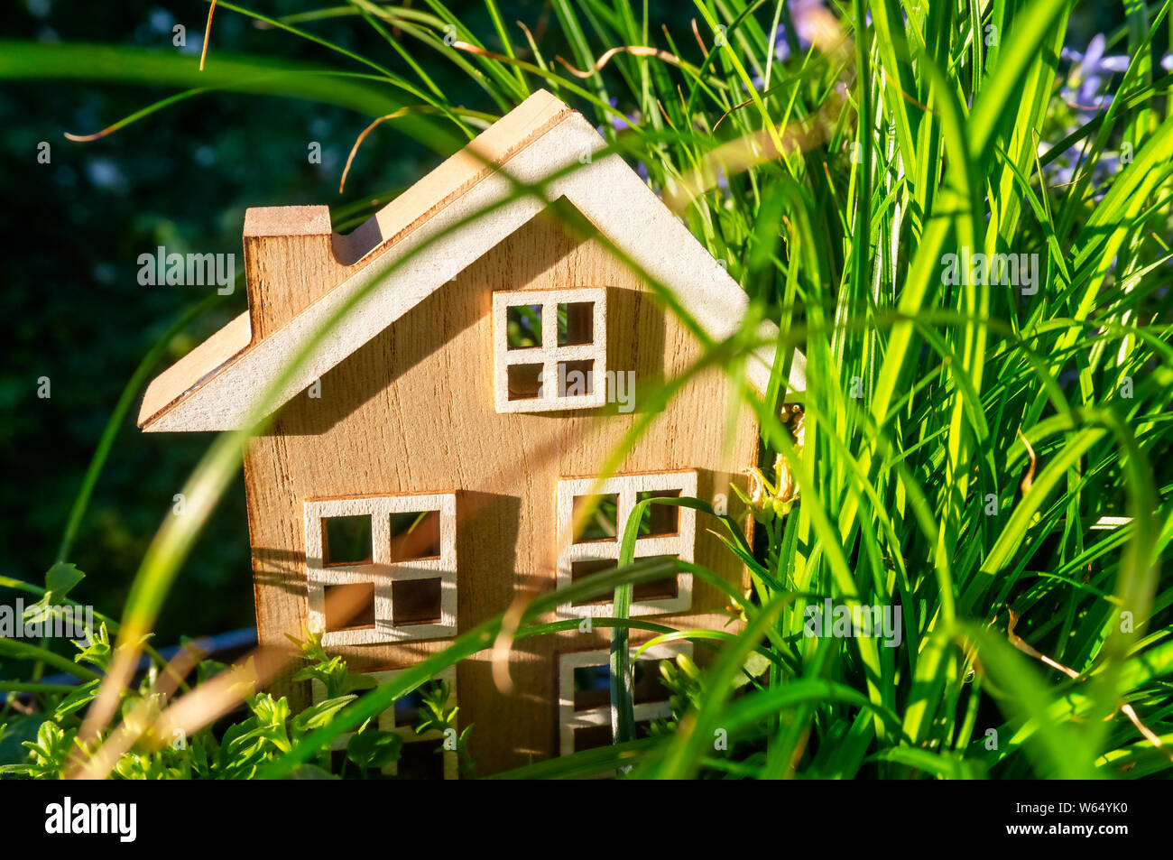 Maison en bois se tient entre les fleurs et les herbes Banque D'Images