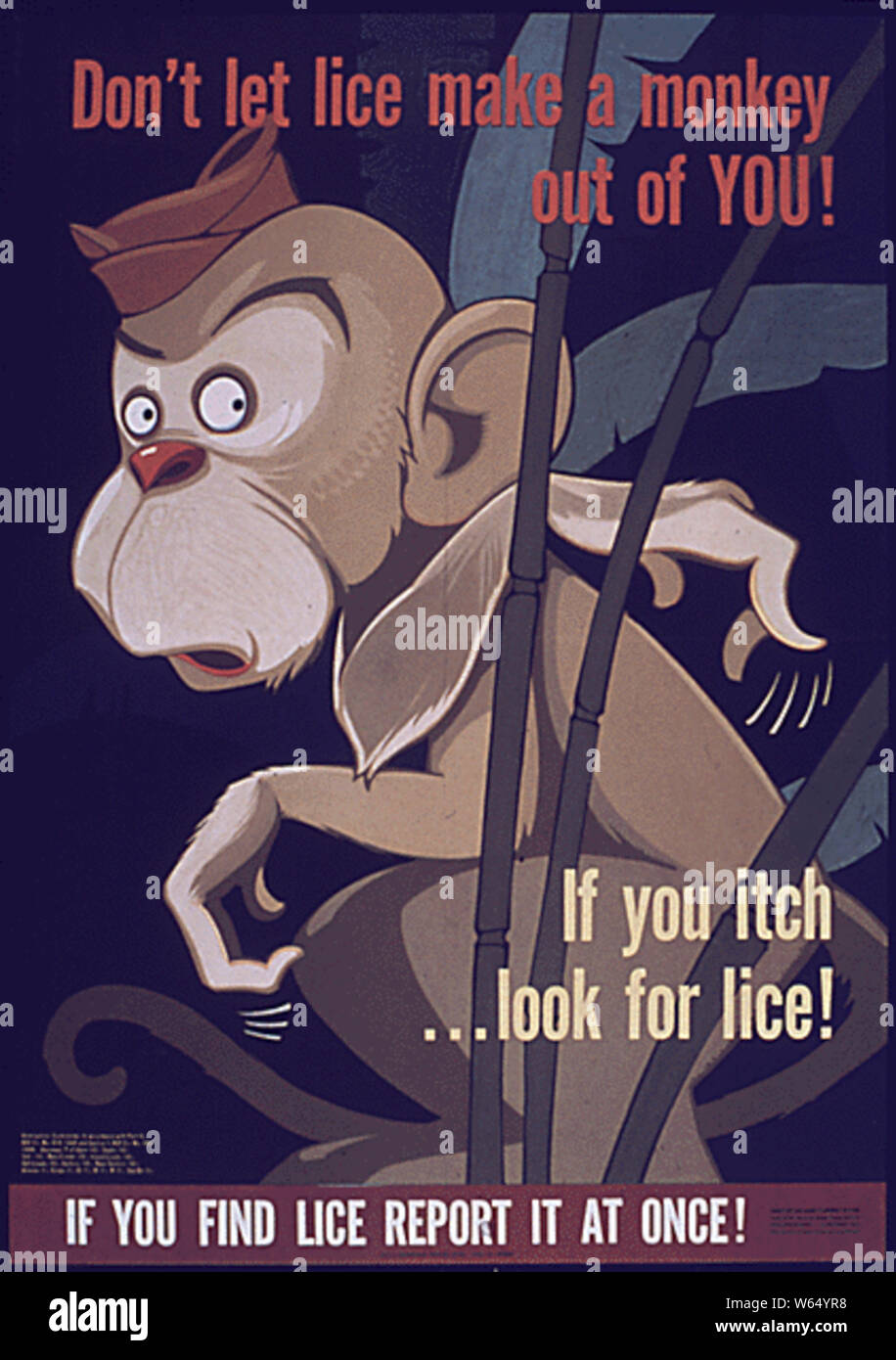 Ne laissez pas les poux faire Un singe hors de vous Banque D'Images