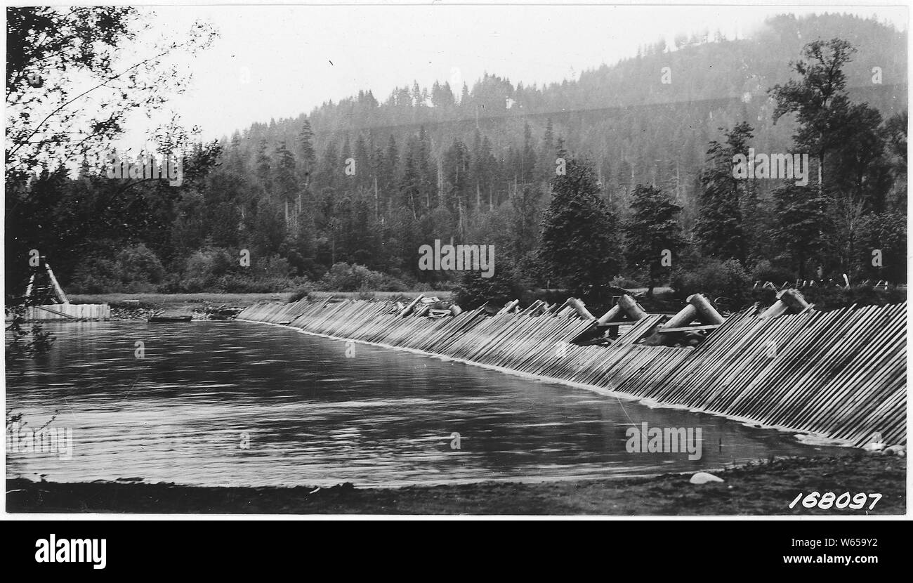 Trap-Salmon poisson, à travers le sud près de la rivière Willamette, Cascade, forêt frontière ou, 1922. Banque D'Images