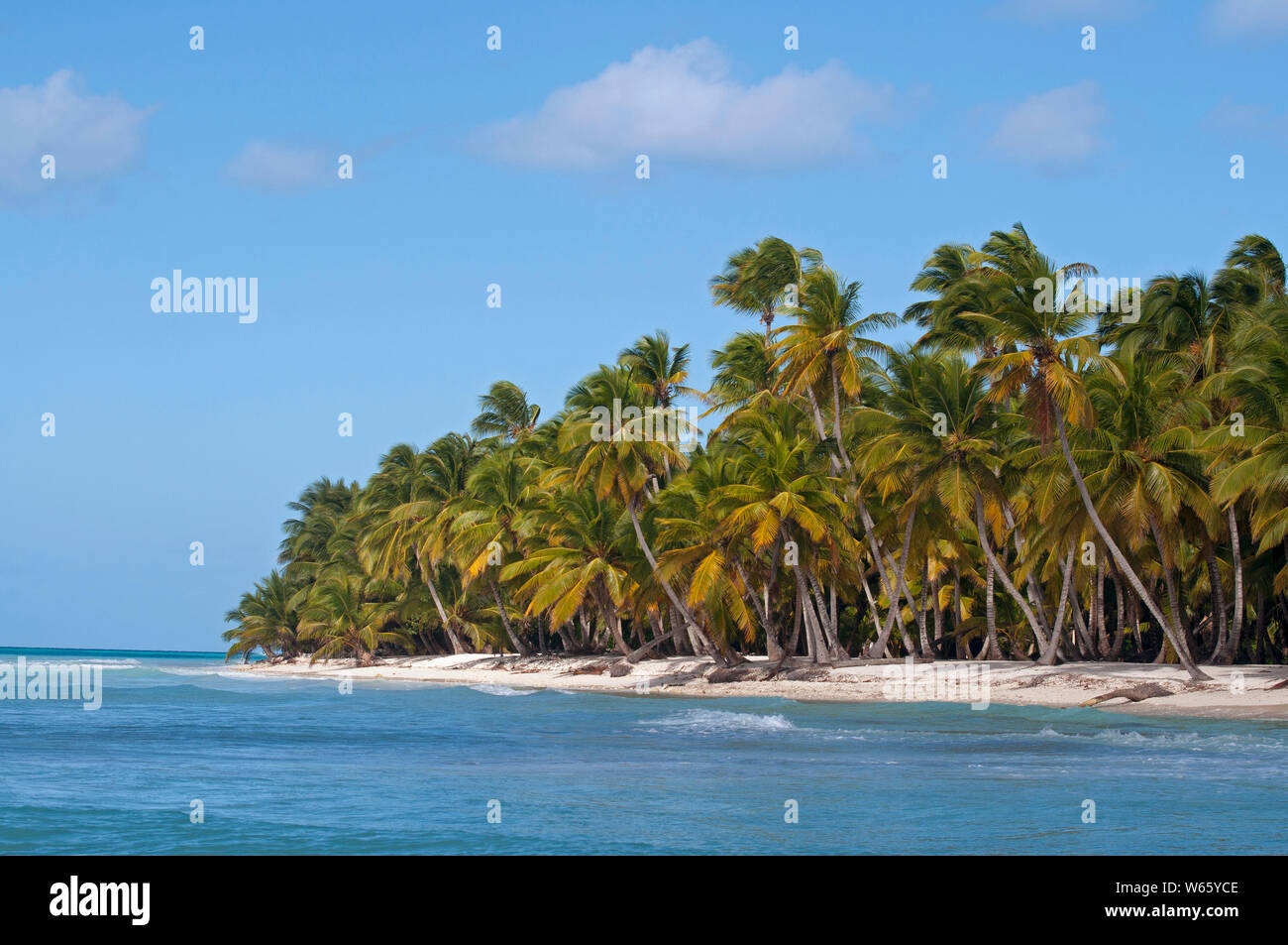 Palm Beach, île de Isla Saona, Parque Nacional del Este, la République dominicaine, Caraïbes, Amérique Latine Banque D'Images