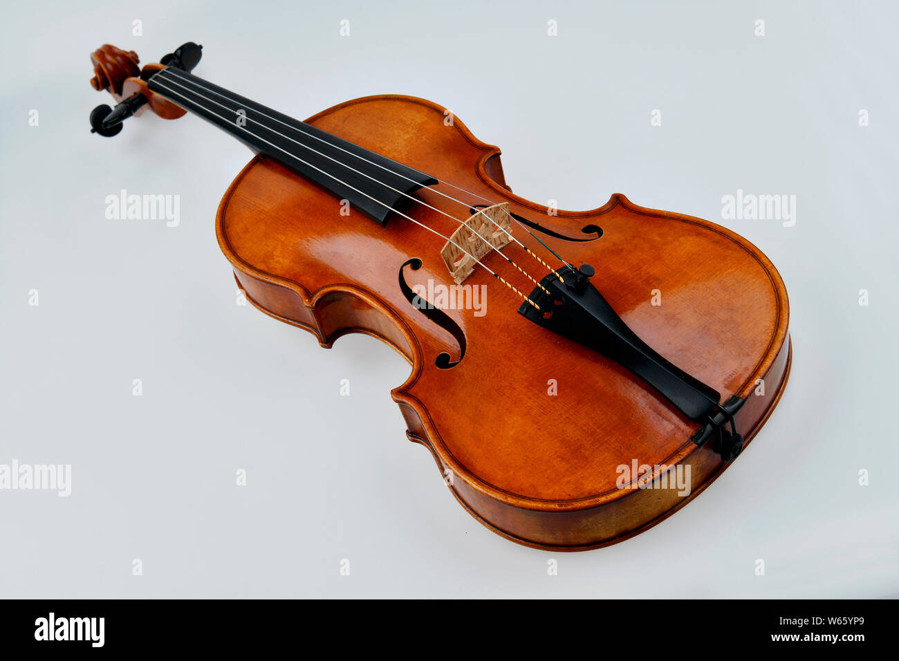 Violine, Geige, Studioaufnahme Banque D'Images