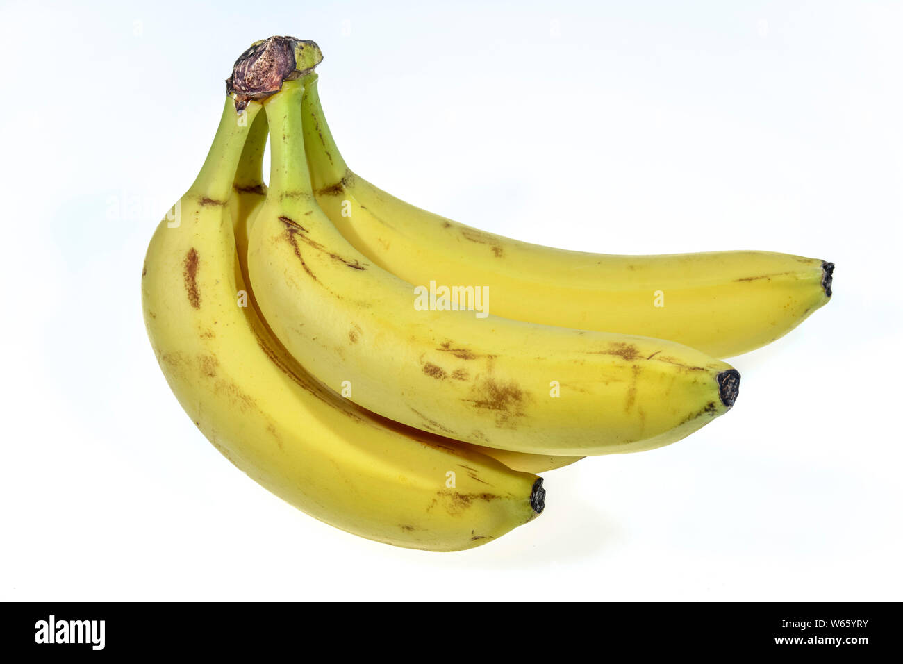 Bananes, Musa spec., Banque D'Images