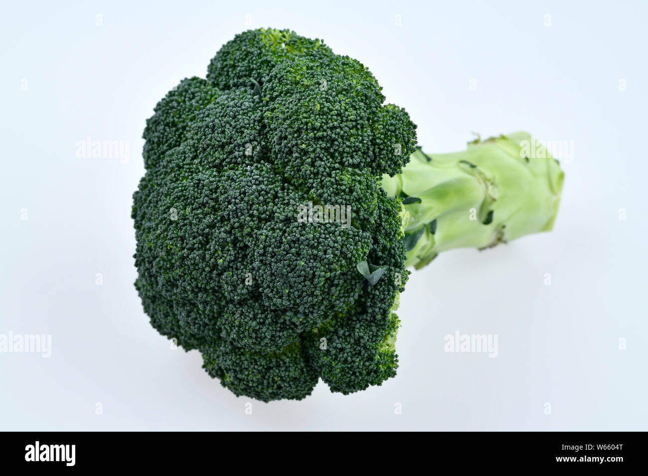Brokkoli, Brassica oleracea var. italica Banque D'Images