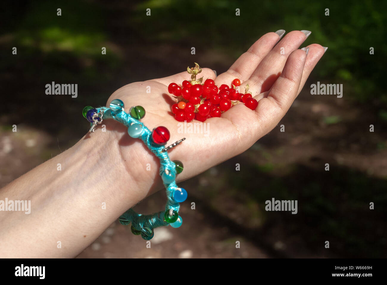 Une poignée de baies en pierre rouge mûre dans la paume de la jeune fille. Doigts ont les ongles longs. Sur le bras est un bracelet fait main avec rouge vert et bleu verres, k Banque D'Images