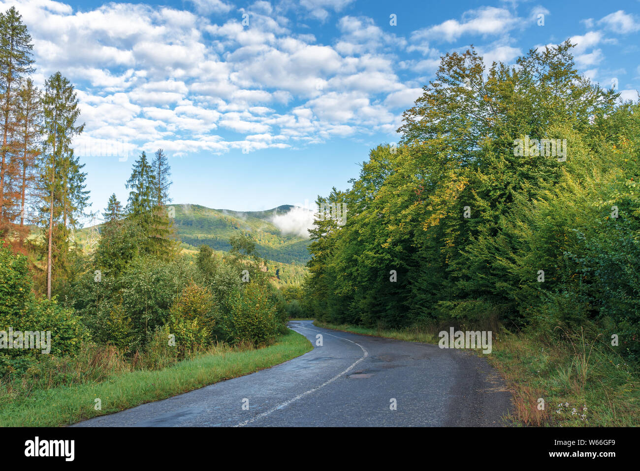 Vieux Pays route à travers la forêt dans les montagnes. belle expérience en transport. tôt le matin les nuages bas sur la crête et hi nuages sur le blu Banque D'Images