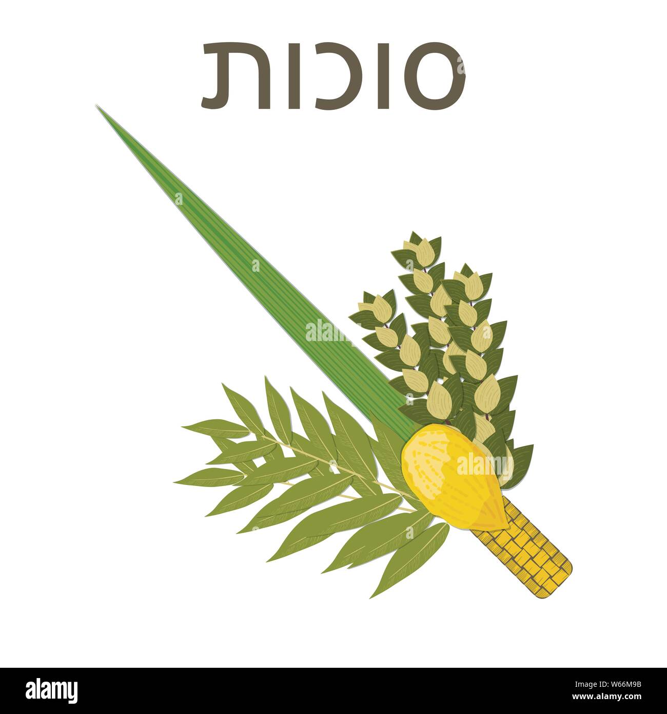 Souccot. Concept de vacances judaïque. Symboles traditionnels - Etrog, Loulav, hadas, l'arava texte Hébreu - Souccot Illustration de Vecteur