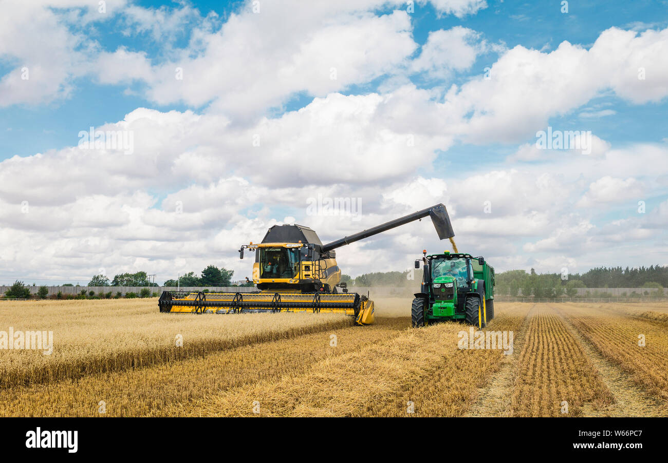 Les machines d'un champ d'avoine récoltes par un beau matin ensoleillé en été, le 10 août 2018 à Beverley, Yorkshire, UK. Banque D'Images