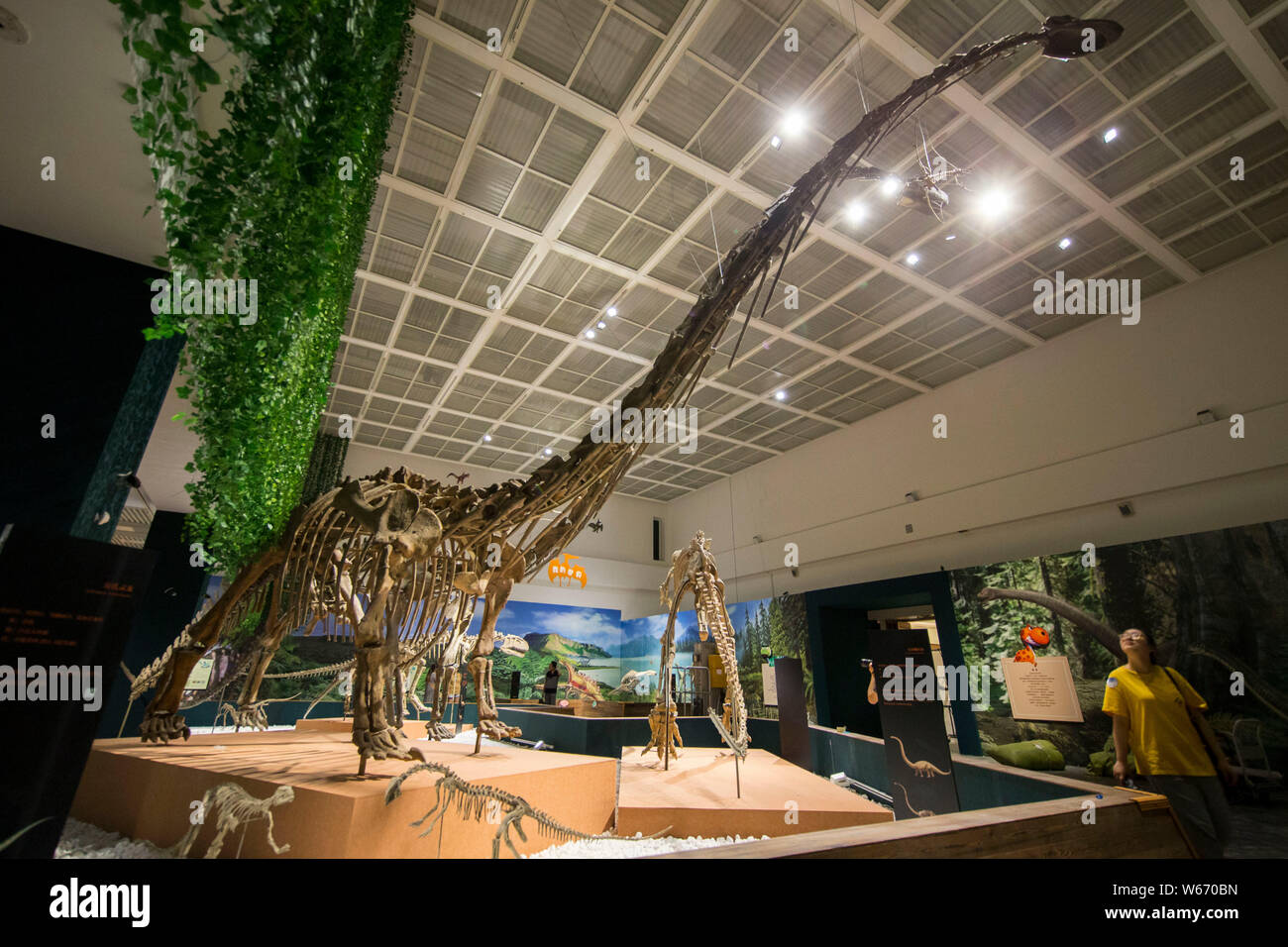 Vue d'un spécimen sur l'affichage à l'exposition mondiale Jurassique Musée de Nanjing à Nanjing city Jiangsu province de Chine orientale, le 13 juillet 2018. Le Juras Banque D'Images