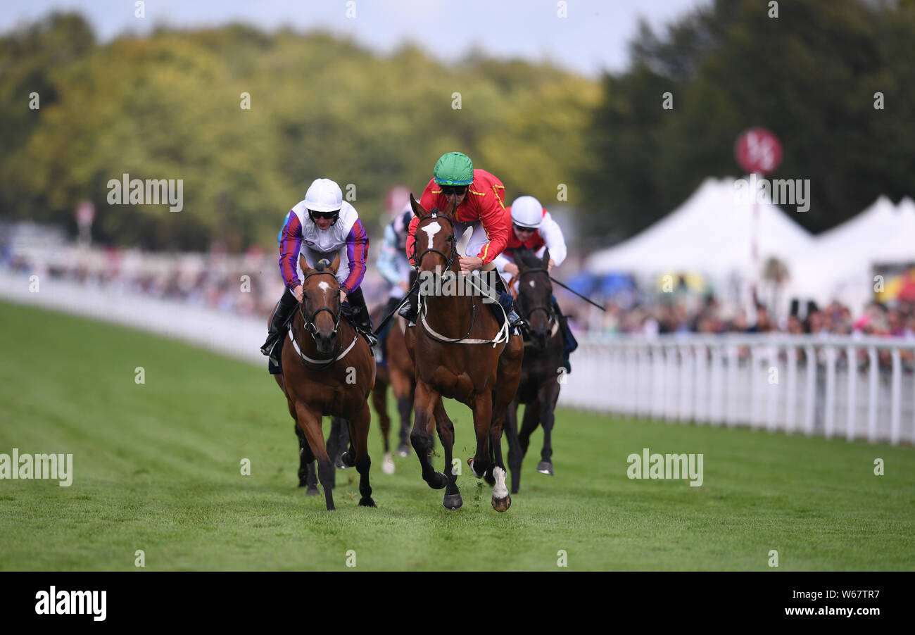 Goodwood Race Course, Chichester, Royaume-Uni. 31 juillet, 2019. Goodwood Festival ; Qatar ; deux jours de la course 5 l'Alice Keppel EBF Pouliches' Enjeux Conditions, Mme Bouquet monté par J Fanning formés par M Johnston dirige le domaine de gagner le Alice Keppel EBF Pouliches' Crédit : Enjeux des conditions plus Sport Action/Alamy Live News Banque D'Images